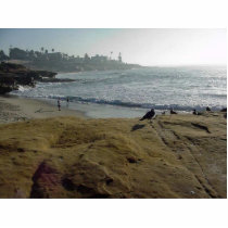 La Jolla Cove Ocean Beach Sand Waves Landscape photo sculptures