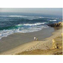 La Jolla Cove Ocean Beach Sand Waves photo sculptures