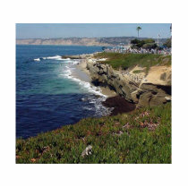 La Jolla Cove photo sculptures