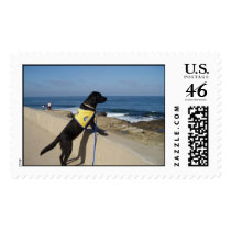 La Jolla Cove postage