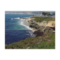 La Jolla Cove postcards