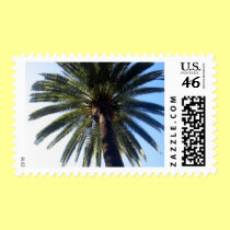 La Jolla Palm Stamp