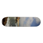 La Jolla Seal Beach Skate Decks