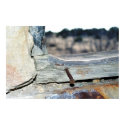 La Junta Window posters by SusieRieple La Junta Window posters