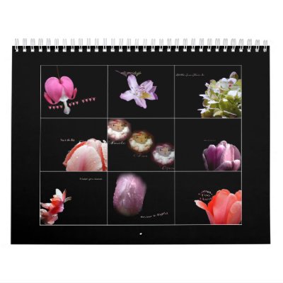 La lengua del calendario de las flores La lengua del calendario de las flores