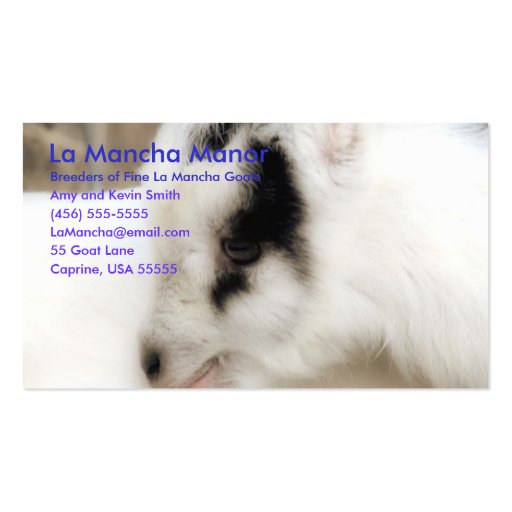 La Mancha Manor Business Card (front side)