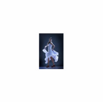 LA MARIPOSA HOT FLAMENCO DANCING PHOTO SCULPTURE photo sculptures by gypsy_doll LA MARIPOSA HOT FLAMENCO DANCING PHOTO SCULPTURE photo sculptures