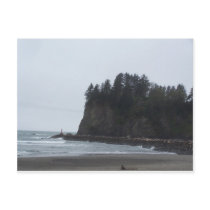 La Push Beach Post Card