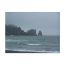 La Push Beach, WA Post Card