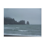 La Push Beach, WA Post Card