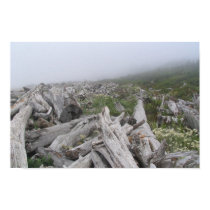 La Push, Pacific Coast - WA posters by kmflasch La Push, Pacific Coast - WA posters