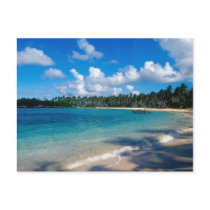 La Samana Peninsula, Dominican Republic, 2 Postcard