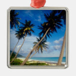 La Samana Peninsula, Dominican Republic, Christmas Ornament