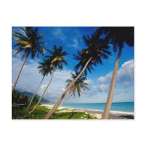 La Samana Peninsula, Dominican Republic, Postcards