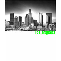 LA SKYLINE t-shirts