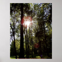 La tarde Sun irradia #50 Poster