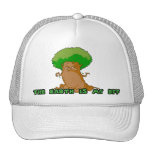La tierra es mi gorra de BFF