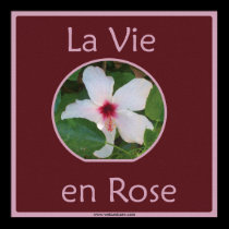 La vie en ROSE posters