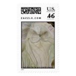 Lab Art: by jo ann smith... postage
