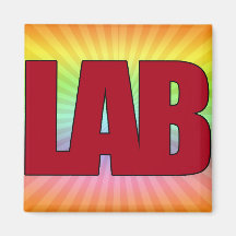 LAB - BIG RED BOLD MEDICAL LABORATORY LOGO MAGNETS