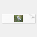 lab bumper sticker