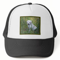 lab hats
