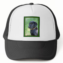 lab hats