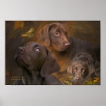 Lab In Autumn Art Poster/Print
