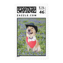 Lab in Bluebonnets Stamps