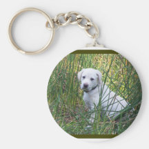 lab keychains
