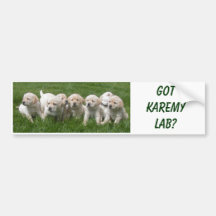 Lab Lineup, Got Karemy Lab? Bumper Sticker