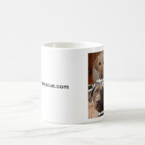 Lab Lovers' Mug mugs
