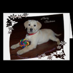 Lab Pup Merry Christmas cards