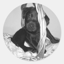 Lab pup sticker