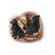 Lab puppies with toys post cards