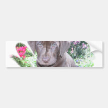 Lab Puppy Bumper Sticker