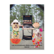 Lab Traits - Affable & Good Natured postcards by myrtieshuman Lab Traits - Affable & Good Natured postcards