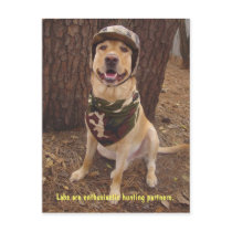 Lab Traits - Enthusiastic Hunting Partner postcards