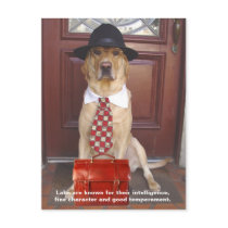 Lab Traits - Fine Character postcards by myrtieshuman Lab Traits - Fine Character postcards