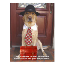 Lab Traits - Fine Character Postcards