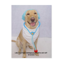 Lab Traits - High Intelligence postcards by myrtieshuman Lab Traits - High Intelligence postcards