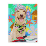 Lab Traits - Love Water postcards