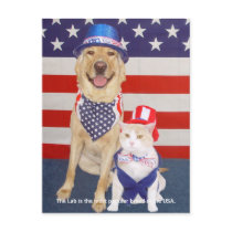 Lab Traits - Popular postcards by myrtieshuman Lab Traits - Popular postcards