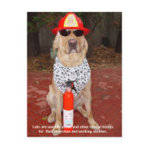 Lab Traits - Use by Police & Firemen postcards by myrtieshuman Lab Traits - Use by Police & Firemen postcards