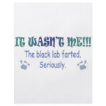 LabBlack Flyer