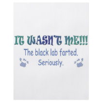 LabBlack Flyer