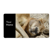 Label Address Stickers Kangaroo labels