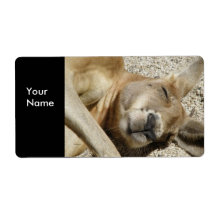 Label Address Stickers Kangaroo