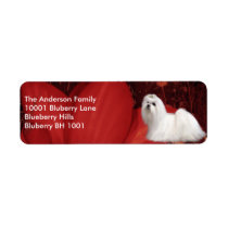 Label Return Address Maltese & Flowers