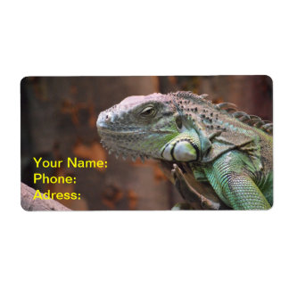 Reptile Pet Shipping, Address, &amp; Return Address Labels | Zazzle